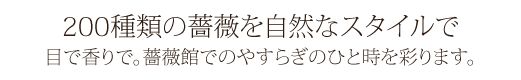 200種類の薔薇を自然なスタイルで目で香りで。薔薇館でのやすらぎのひと時を彩ります。